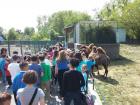 Jedodnevni_izlet_Osijek_Dakovo_2015_020