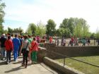 Jedodnevni_izlet_Osijek_Dakovo_2015_061