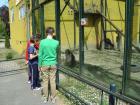 Jedodnevni_izlet_Osijek_Dakovo_2015_066