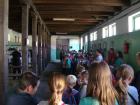 Jedodnevni_izlet_Osijek_Dakovo_2015_074