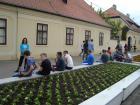 Jedodnevni_izlet_Osijek_Dakovo_2015_083